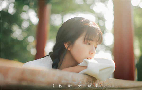 志仲镇胎儿性别鉴定需要多少钱(胎儿性别鉴定的方法)